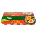 Fileni 10 Uova Fresche da allevamento a Terra 530 g